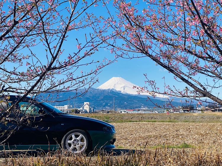 147の富士山とコラボ・河津桜とコラボ・富士山と河津桜とコラボに関するカスタム事例の投稿画像5枚目