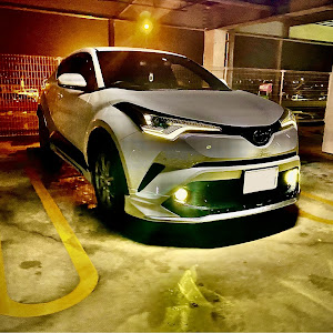 C-HR NGX50