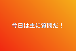 今日は主に質問だ！