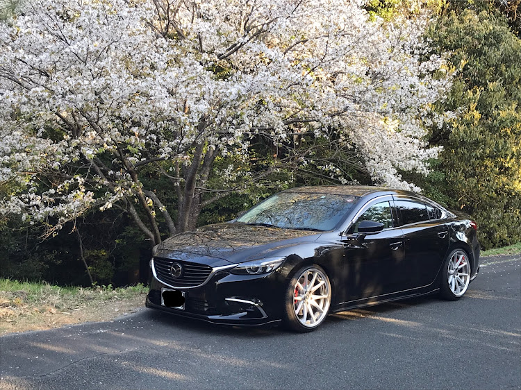 アテンザの桜と愛車・コロナウイルスに負けるな・コストコ純水機に関するカスタム事例の投稿画像1枚目