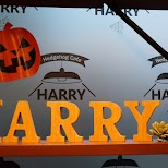 hedgehog cafe HARRY in Tokyo in Tokyo, Tokyo, Japan