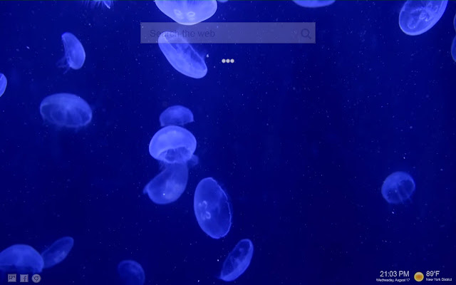 Jellyfish LIVE Tab