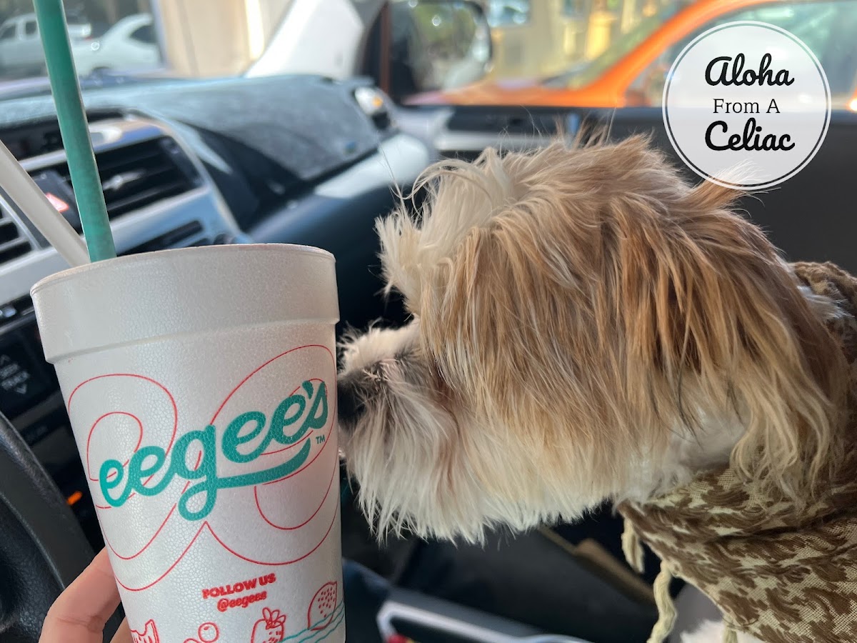 Gluten-Free at eegee's