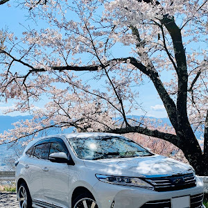 ハリアー ASU60W