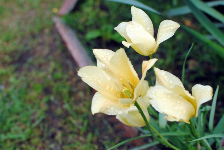 Bentornata.. di roberta monaco