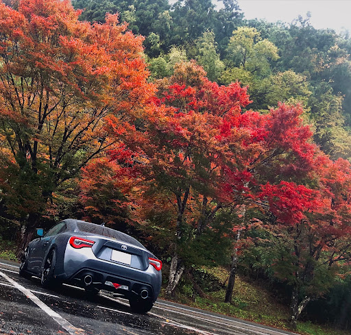 86 Zn6の秋雨の面河渓 紅葉 と愛車 道の駅ではなく ふるさとの駅 雨もアリ に関するカスタム メンテナンスの投稿画像 車のカスタム情報はcartune