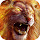 Lion Wallpaper HD Custom New Tab