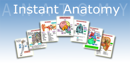 Instant Anatomy App small promo image