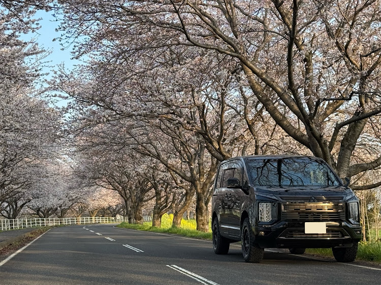 デリカD:5の桜・後ろ姿祭・BFGoodrich All-Terrain・リフトアップ・イージーアップに関するカスタム事例の投稿画像2枚目