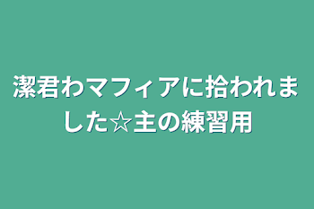 潔君わマフィアに拾われました☆主の練習用