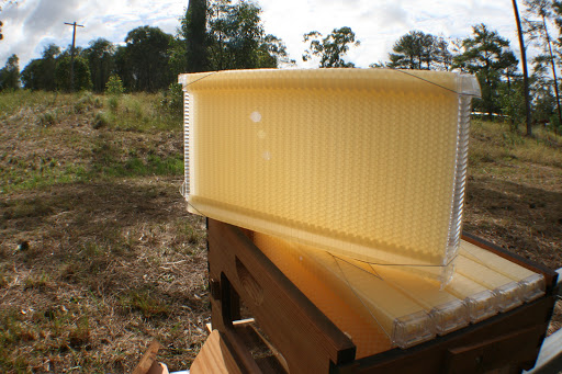 Flow hive beehive beekeeping review