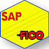 Learn SAP FICO1.1