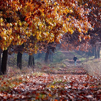 PASSEGGIATA AUTUNNALE di 