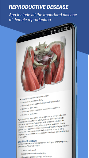 female reproductive system 3d models explained