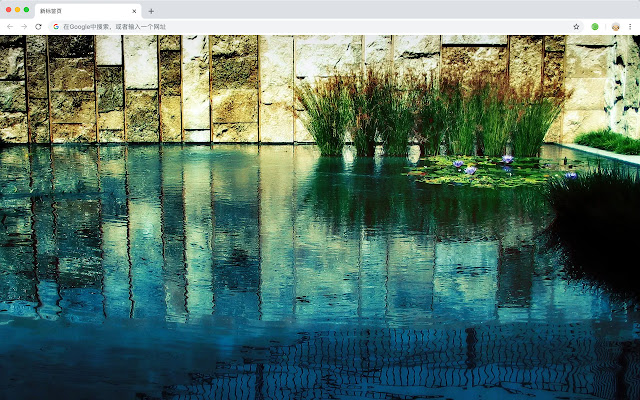 Reflection New Tab HD Photography Theme