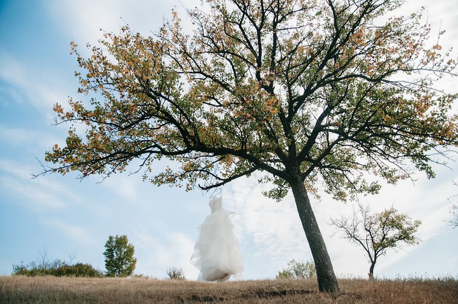 Wedding photographer Valeriya Kononenko (valerikka). Photo of 28 April 2018