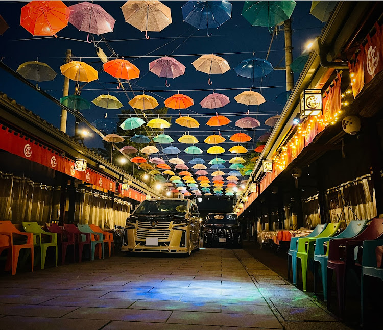 アルファードの愛車もオーナーも大変身・アンブレラ・ぴんころ地蔵・カーボンに関するカスタム事例の投稿画像1枚目