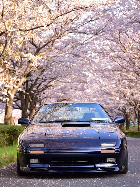 RX-7の桜と愛車・桜とコラボに関するカスタム事例の投稿画像3枚目