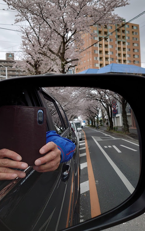 ランドクルーザープラドの桜とコラボ・桜・エイプリルフール・桜と愛車に関するカスタム事例の投稿画像1枚目