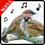 Cover Image of Baixar Tonos de pajaros para celular gratis, sonidos 1.21 APK