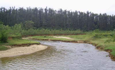 Hemavati River