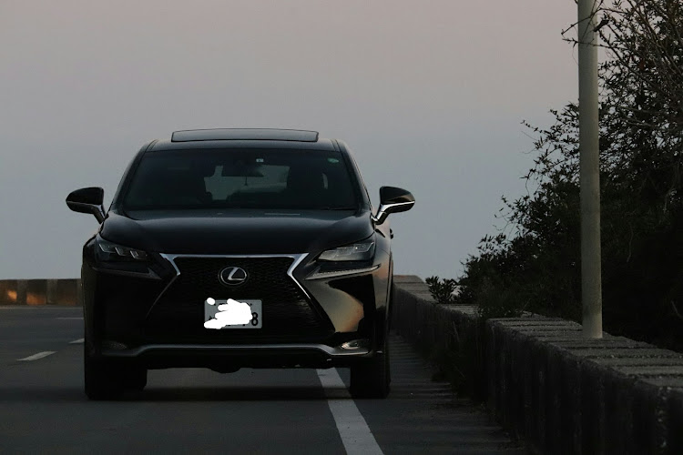 NXのドライブ・洗車した！・ウクライナ情勢に関するカスタム事例の投稿画像4枚目