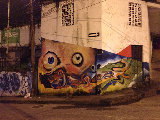 Mural Búho Muerto