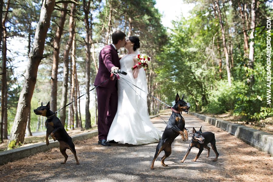 Fotógrafo de casamento Aleksandra Bodrova (aleksbodrova). Foto de 2 de novembro 2015