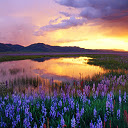 A Prairie Camas Sunset Chrome extension download