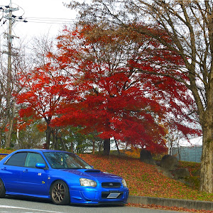 インプレッサ WRX GDA