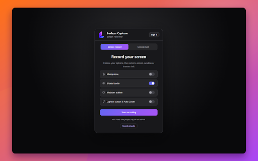 Ludexa Capture screenshot 1