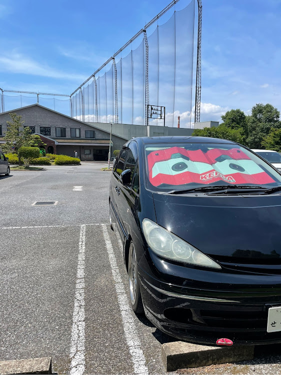 エスティマのデート・ゴルフ・打ちっぱなし・快活CLUB・金に関するカスタム事例の投稿画像1枚目