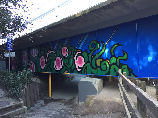 Cobham Drive Bridge Mural