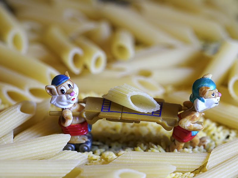 Le vere penne sono solo Italiane di alagnol