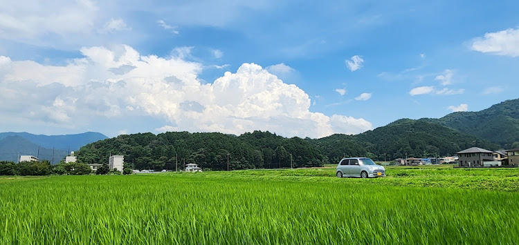 の投稿画像1枚目