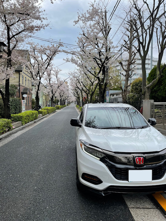 ヴェゼルのヴェゼルハイブリッドRS・ヴェゼル・桜とコラボ・桜と愛車・桜に関するカスタム事例の投稿画像2枚目