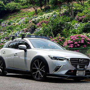 CX-3 DK5FW