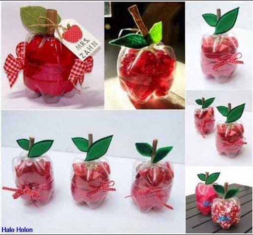 DIY Plastic Bottle Craft