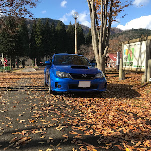 インプレッサ WRX STI