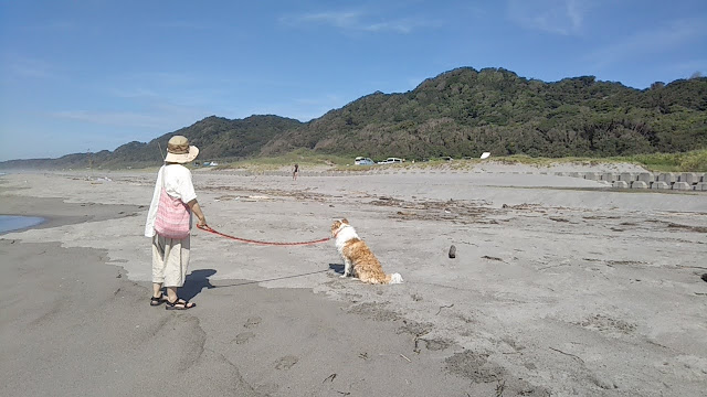 シェリー初めて海に行く