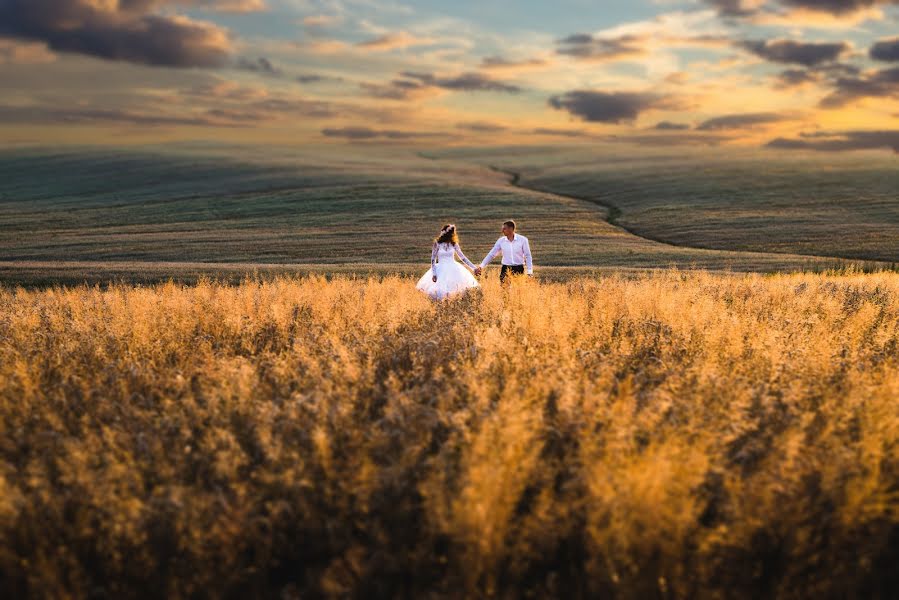 Wedding photographer Dmitriy Shpak (dimak). Photo of 4 August 2015