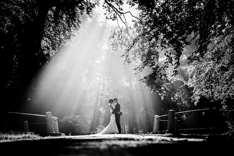 Huwelijksfotograaf Geertje Vierhout (fotovierhout). Foto van 21 januari 2016