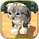 Cat Simulator  icon