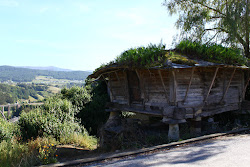 Camino del Norte: как я шла в Сантьяго-де-Компостела (Путь Святого Иакова).