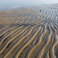 Al confine fra sabbia e mare di 