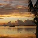 Silhouette Of Boats