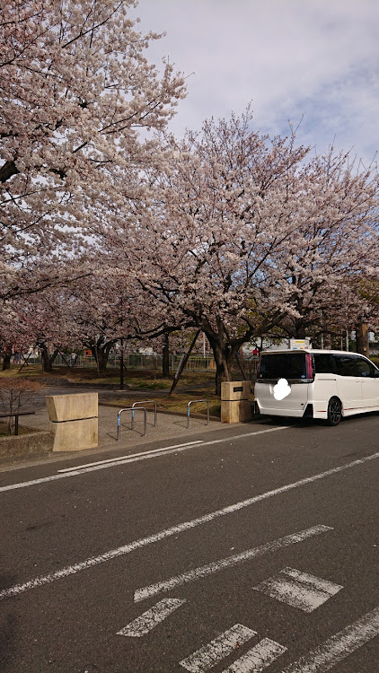 の投稿画像10枚目