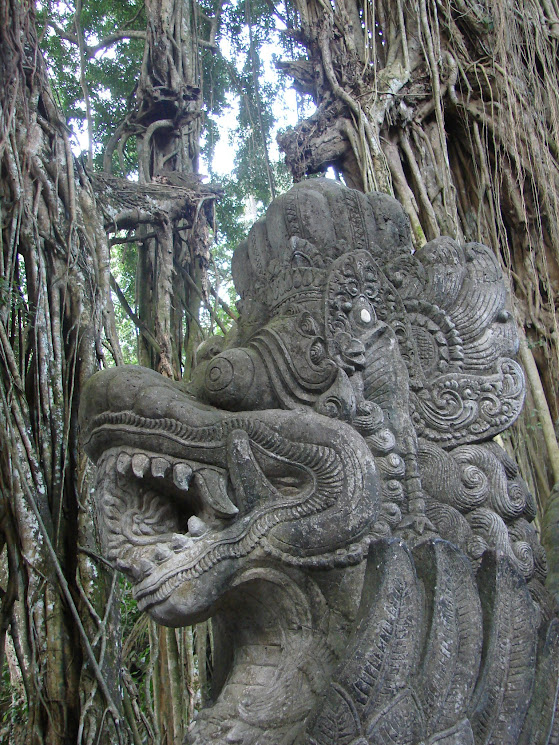 monkey forest ubud