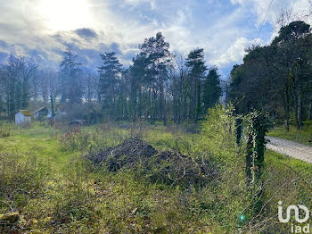 terrain à Nanteau-sur-Essonne (77)