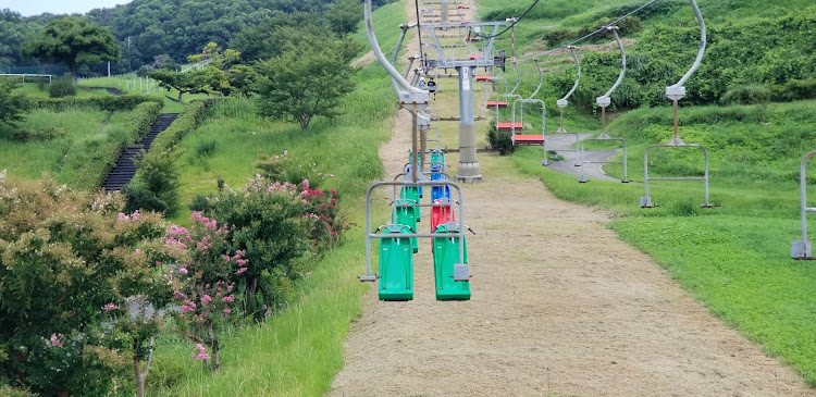 の投稿画像19枚目